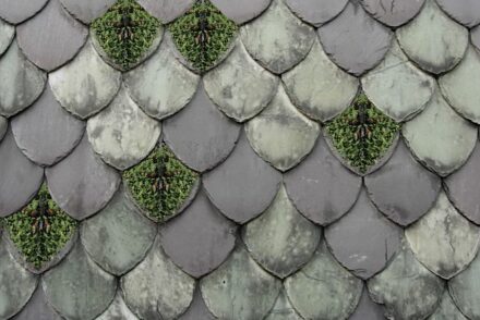 RoofLeaf: tiles for green roofs – Map-Slate - Eleonora Pesce. Material: Slate.