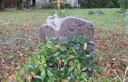 Young Swedes want more traditional forms of burial, i.e., in a cemetery and with a headstone.