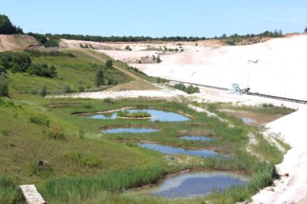 Quarzsandtagebau Frechen. Foto: Quarzwerke Frechen