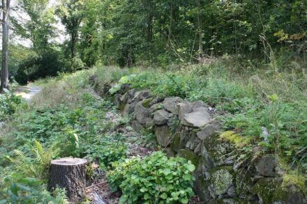 Trockenmauer an einem Waldrand irgendwo, lange vergessen.