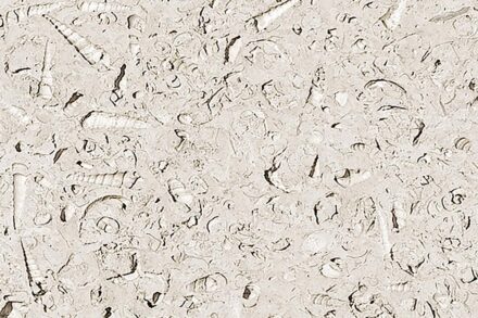 Portland Bowers® Roach limestone.
