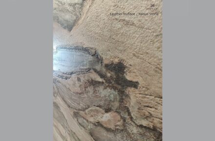 Quartzite Cappuccino from Yanue Import and Export, leather surface.