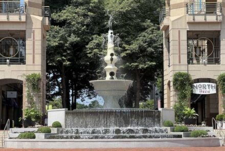 Category Public Landscapes/Parks/Memorials: Reston Town Center Fountain Plaza Renovation, Reston, Virginia.