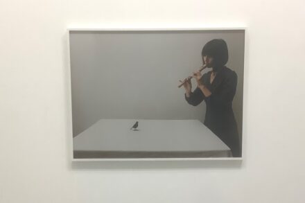 Alessandra Spranzi: „Il flauto e l’uccello“, 2006. Galleria p420, Bologna.