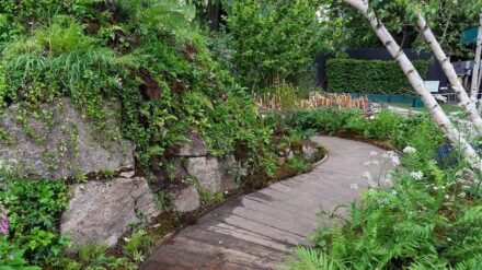 The natural stone remained almost invisible in the “Rainforest Garden.“ This was about the dense forests of Britain, which are also mentioned in Arthurian legend. Here, stone serves as a base for thick cushions of mosses and lichens, or, when stacked, as path edges.