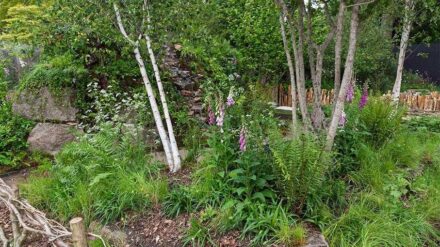 „Rainforest Garden.“ 