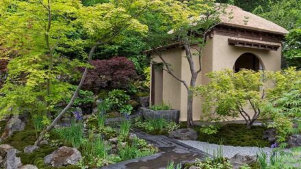 „Japanese Tea Garten.“