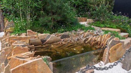 „Seawilding“ was the name of one garden, referring to an initiative to protect the coastline at Loch Craignish in Scotland. A typical coastal zone was recreated using sandstone. Seaweed grew in a basin, and visitors could look into the water through a window on the side.