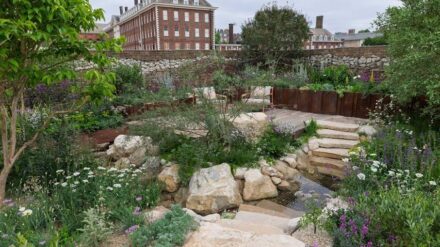In “Freedom to Flourish,“ a tall gabion surrounded the garden. It was decoratively filled with various materials.