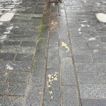 Northampton hat seine Innenstadt neu gestaltet.