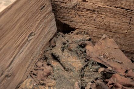 Blick in das Innere des Holzsargs. Erkennbar sind die Überreste hochwertiger Textilien. Quelle: Andrea Hörentrup. Copyright: Landesamt für Denkmalpflege und Archäologie Sachsen-Anhalt