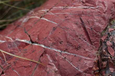 Outcrop of red Jasper in the Mgwayiza Valley, Eswatini. Photo: Mbongeni Dlamini