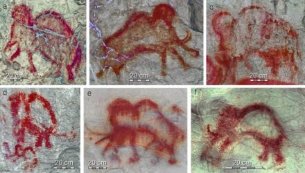Tracing images of mammoths (Mammuthus primigenius) in the Hall of Paintings. Photo: С. Peshkov, N. Grigoryev / Unesco