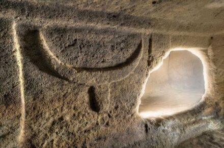 The domus de janas: Protome carved in the main chamber of Tomb B. Photo: Nicola Castangia / Unesco