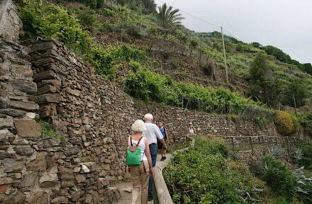 Stone walls are an ancient method of supporting slopes and farming on them. In Cinque Terre, Italy, they have taken on a new value as tourist attractions.