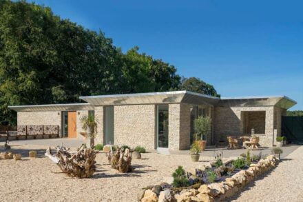 Shen carter studio: The Wild Garden.