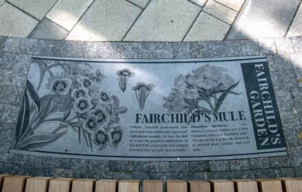 Fairchild’s Garden in London.