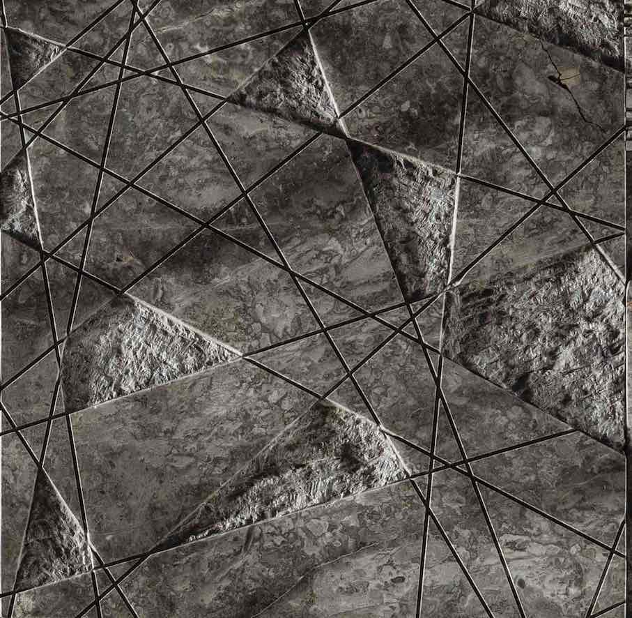 “Motus Animi“: rabbia.