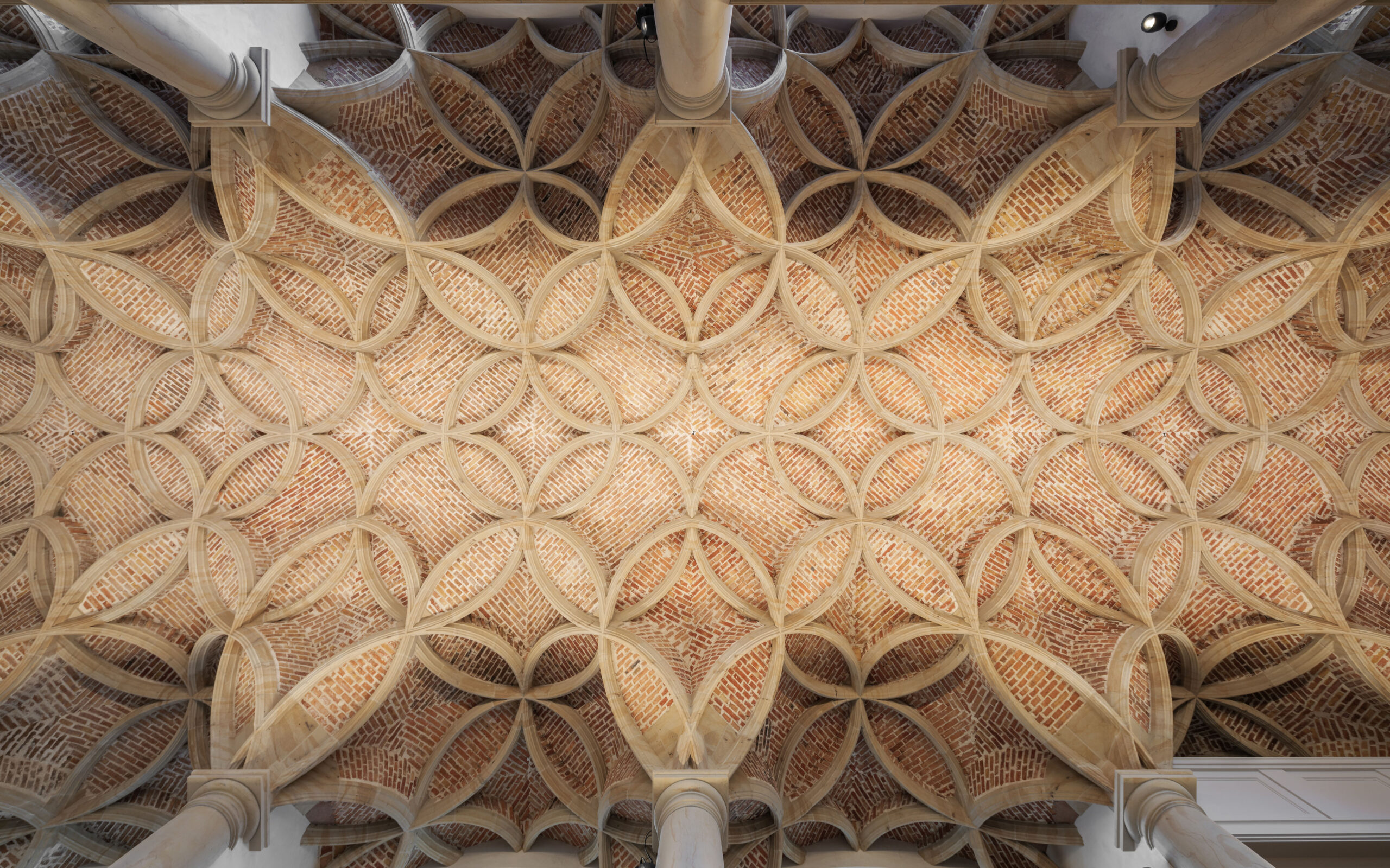 Die Schlosskapelle mit den doppelt gekrümmten Sandsteinrippen im Residenzschloss Dresden.