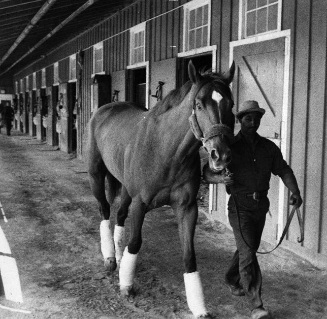 In Lexington, Kentucky, the limestone beneath the ground and the bluegrass above provide the ideal conditions for the world-renowned breeding of thoroughbred horses