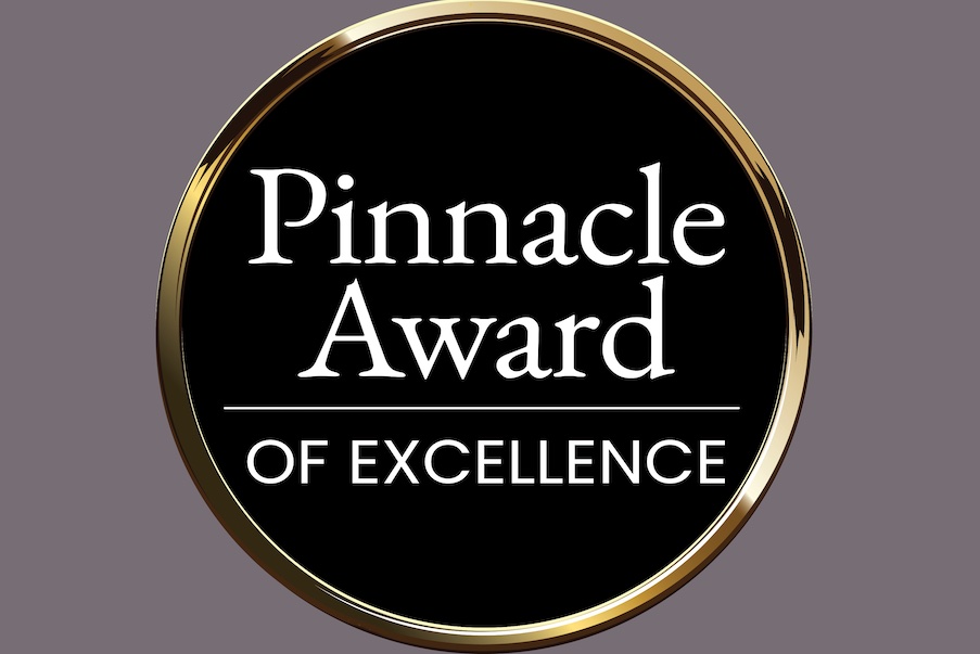Pinnacle Awards of Excellence 2025 by the Natural Stone Institute (NSI): projects honored showing exceptional creativity, beauty, originality, and craftsmanship with natural stone