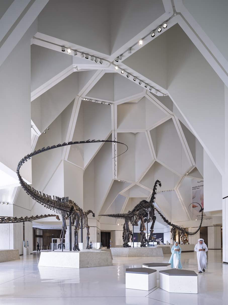 Mecanoo: Natural History Museum Abu Dhabi.