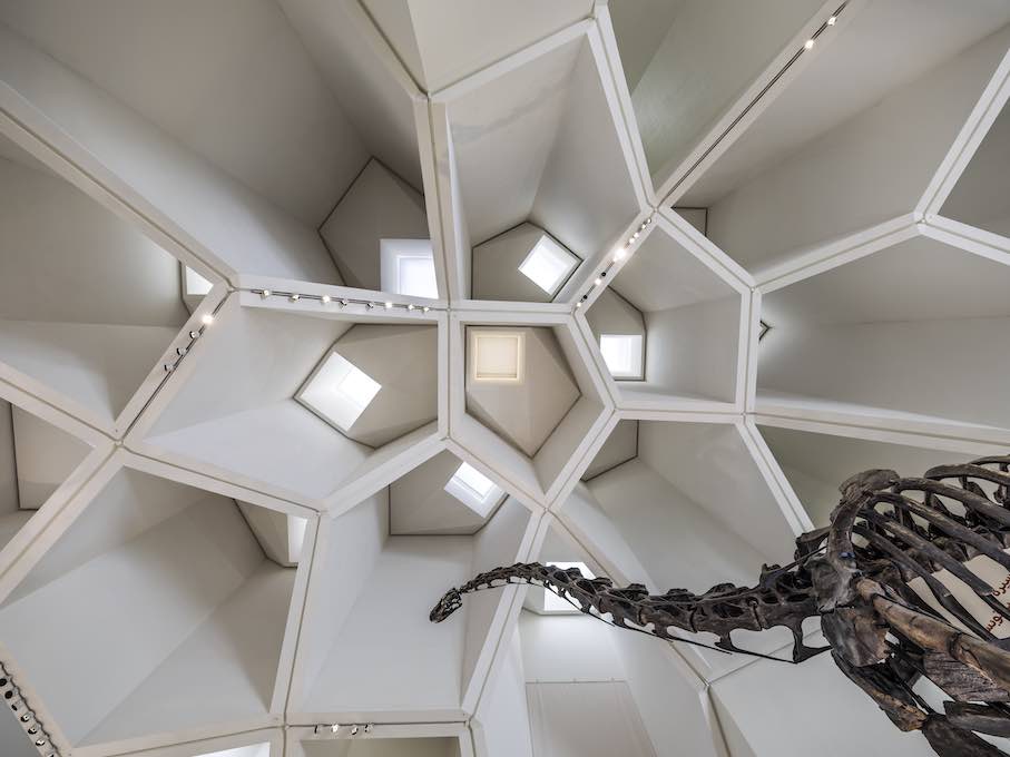 Mecanoo: Mecanoo: Natural History Museum Abu Dhabi.