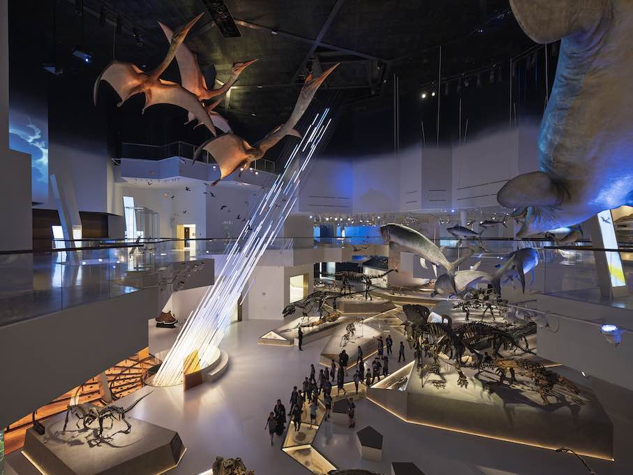 Mecanoo: Natural History Museum Abu Dhabi.